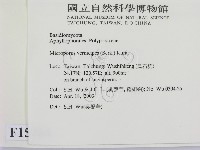 登錄號:F0015084藏品圖，第2張