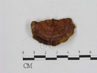 登錄號:F0015084藏品圖，第1張