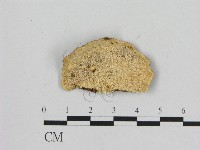 登錄號:F0015084藏品圖，第3張