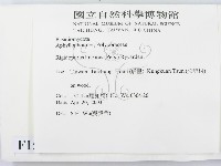 登錄號:F0015085藏品圖，第2張