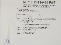 栓菌屬藏品圖，第2張