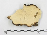 登錄號:F0015087藏品圖，第1張