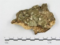 登錄號:F0015087藏品圖，第3張