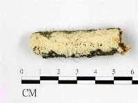 登錄號:F0015088藏品圖，第1張