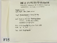 登錄號:F0015089藏品圖，第2張