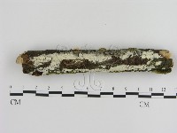 登錄號:F0015089藏品圖，第1張