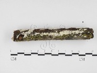 登錄號:F0015089藏品圖，第3張