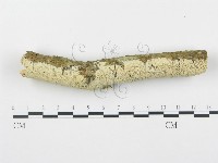 登錄號:F0015091藏品圖，第1張