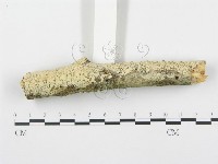 登錄號:F0015091藏品圖，第3張