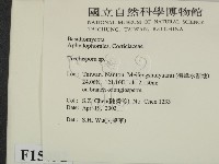 登錄號:F0015092藏品圖，第2張