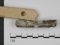 登錄號:F0015092藏品圖，第3張