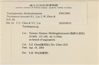 登錄號:F0015092藏品圖，第4張