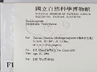 登錄號:F0015093藏品圖，第2張