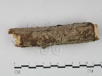 登錄號:F0015093藏品圖，第4張