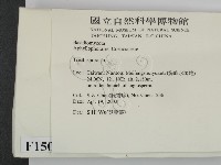 粗糙孢菌屬藏品圖，第2張