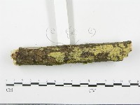登錄號:F0015095藏品圖，第3張