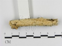 登錄號:F0015096藏品圖，第1張