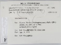 登錄號:F0015098藏品圖，第2張