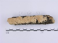 登錄號:F0015098藏品圖，第1張