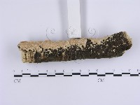 登錄號:F0015098藏品圖，第4張