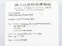 登錄號:F0015099藏品圖，第2張