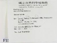 刺皮菌屬藏品圖，第2張