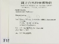 刺皮菌屬藏品圖，第2張