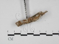 登錄號:F0015106藏品圖，第3張