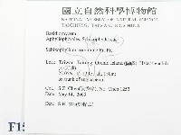 裂褶菌藏品圖，第2張