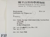 栓菌屬藏品圖，第2張