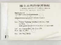 登錄號:F0015110藏品圖，第2張