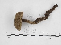 登錄號:F0015110藏品圖，第1張