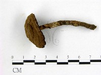 登錄號:F0015111藏品圖，第1張