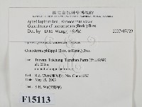 登錄號:F0015113藏品圖，第2張