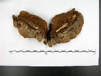登錄號:F0015114藏品圖，第3張