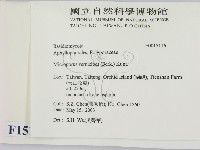 登錄號:F0015116藏品圖，第2張