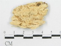 登錄號:F0015118藏品圖，第3張
