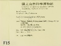 登錄號:F0015122藏品圖，第2張