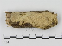 登錄號:F0015122藏品圖，第1張