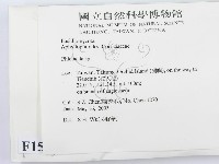 登錄號:F0015125藏品圖，第2張