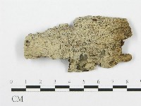 登錄號:F0015125藏品圖，第1張