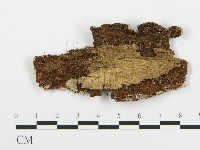 登錄號:F0015125藏品圖，第3張
