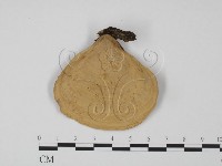 韌革菌屬藏品圖，第3張