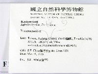 顯絲菌屬藏品圖，第2張