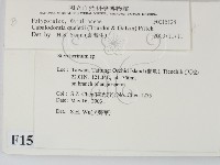 登錄號:F0015128藏品圖，第2張