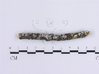 登錄號:F0015128藏品圖，第1張