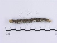 登錄號:F0015128藏品圖，第3張