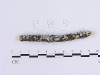 登錄號:F0015128藏品圖，第5張