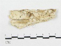 登錄號:F0015129藏品圖，第1張
