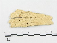 登錄號:F0015129藏品圖，第3張